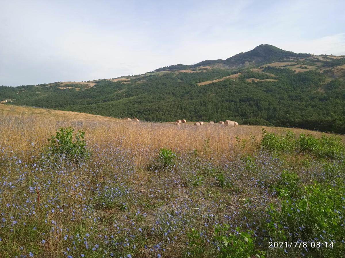 Due Principi E Una Fata Sestola Εξωτερικό φωτογραφία